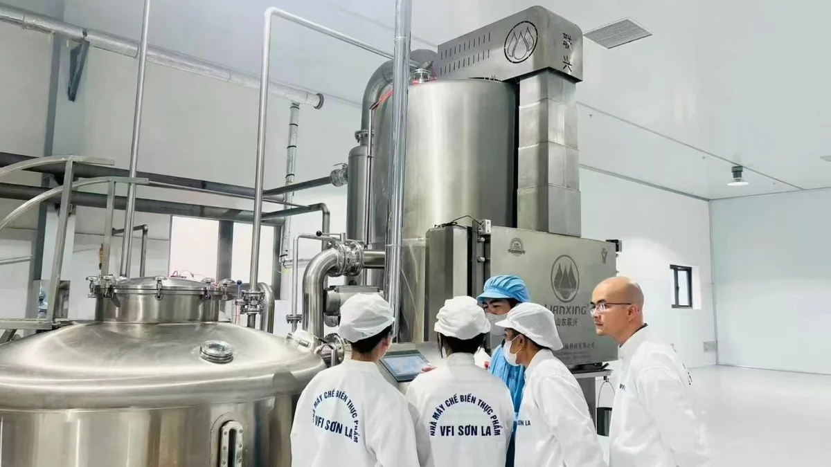 越南 VFI 公司:让热带香蕉走向世界的“锁鲜”方案
