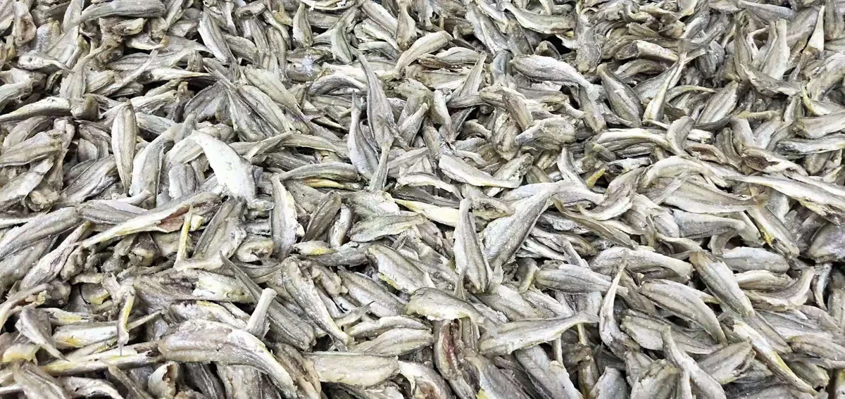 品质跃升,重塑高端海鲜零食标准